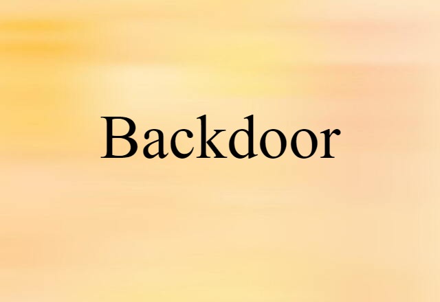 Backdoor (noun) Definition, Meaning & Examples