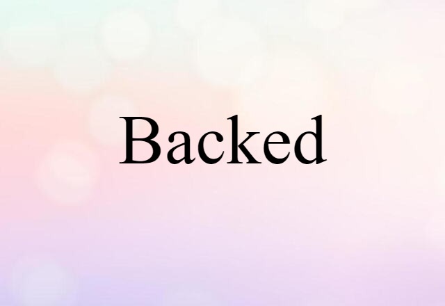 Backed (noun) Definition, Meaning & Examples