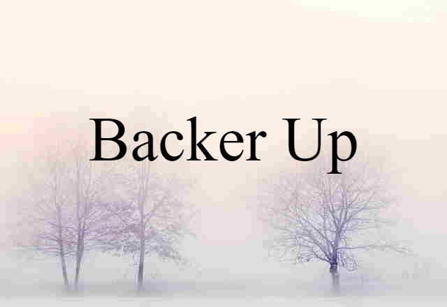 backer-up