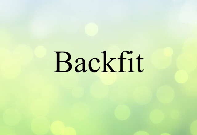 Backfit (noun) Definition, Meaning & Examples