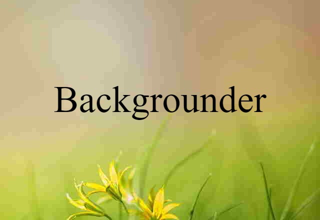 Backgrounder (noun) Definition, Meaning & Examples