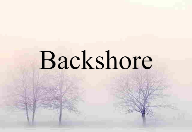 Backshore (noun) Definition, Meaning & Examples