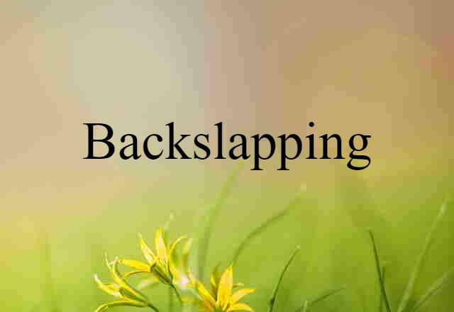 Backslapping (noun) Definition, Meaning & Examples