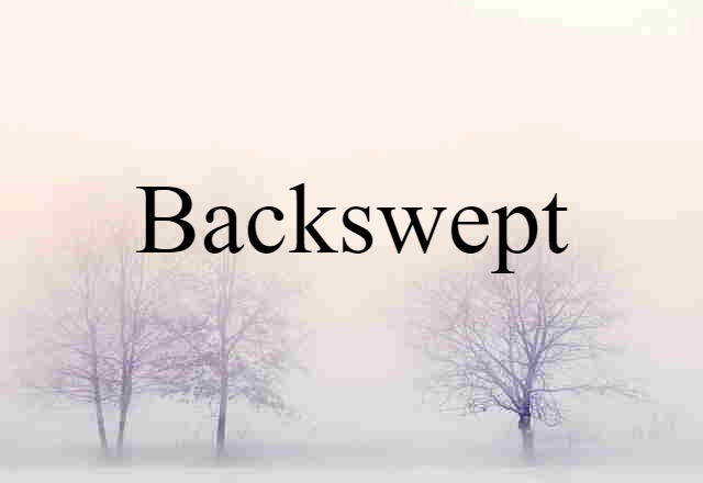 Backswept (noun) Definition, Meaning & Examples