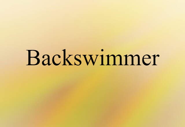 backswimmer