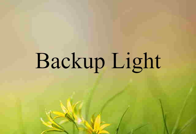 backup light