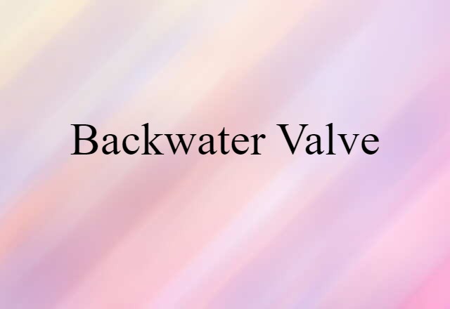 backwater valve