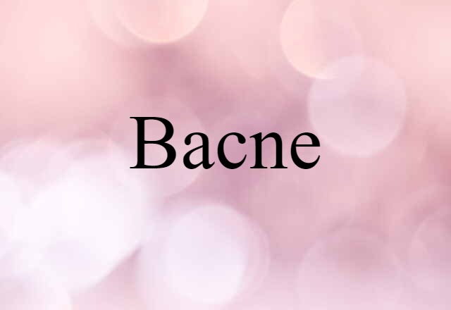 Bacne (noun) Definition, Meaning & Examples