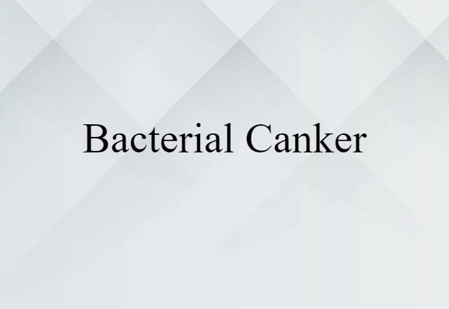 bacterial canker