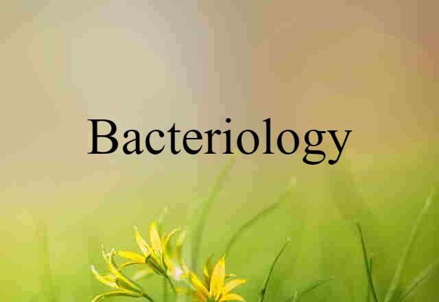 Bacteriology (noun) Definition, Meaning & Examples