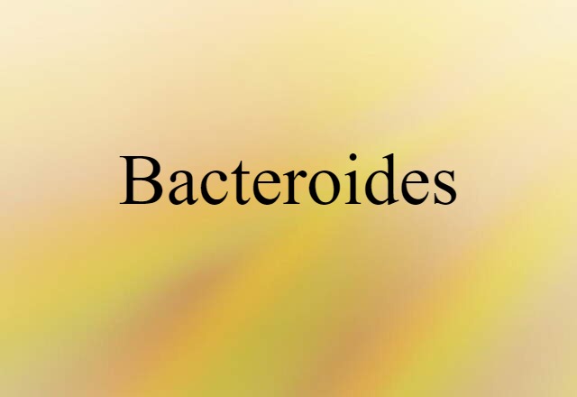 Bacteroides (noun) Definition, Meaning & Examples