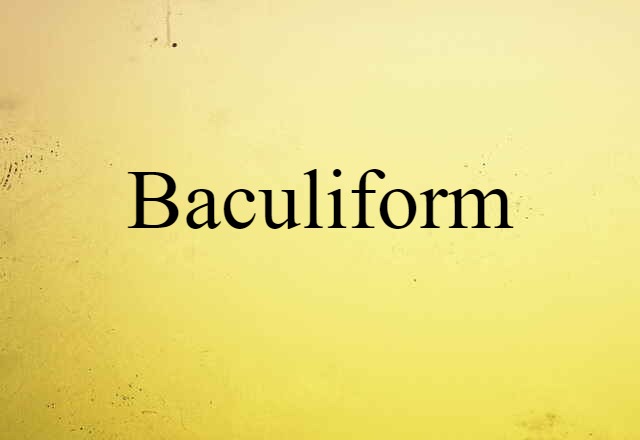 Baculiform (noun) Definition, Meaning & Examples