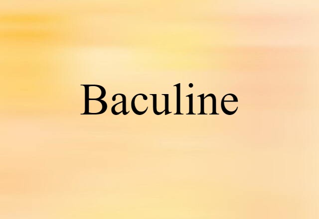 Baculine (noun) Definition, Meaning & Examples