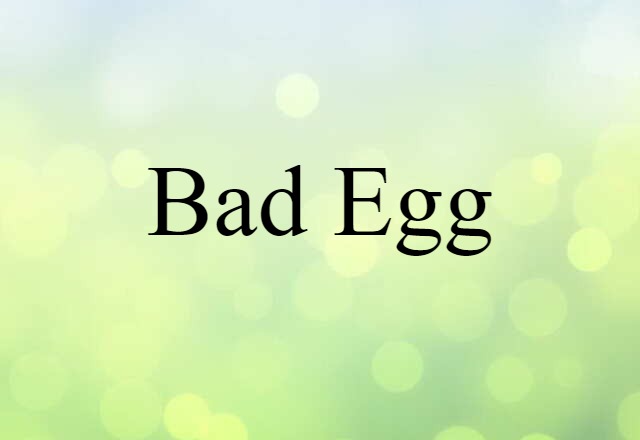 Bad Egg (noun) Definition, Meaning & Examples