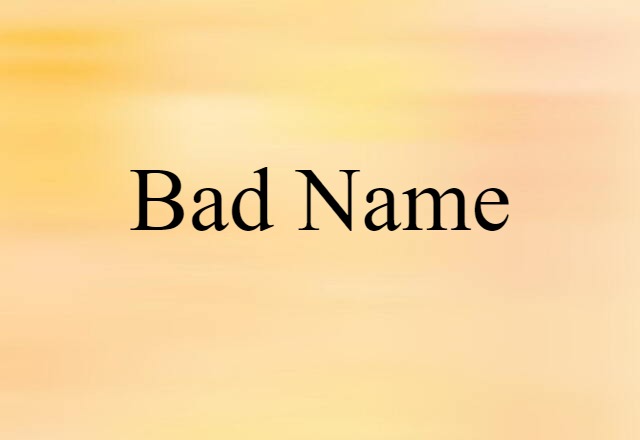 Bad Name (noun) Definition, Meaning & Examples