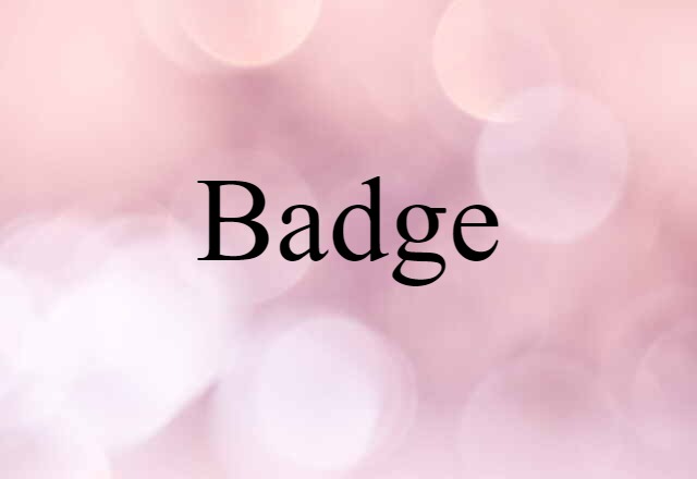 Badge (noun) Definition, Meaning & Examples