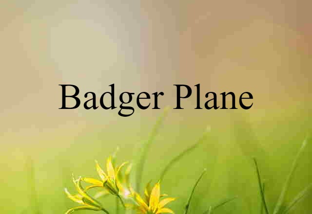 Badger Plane (noun) Definition, Meaning & Examples