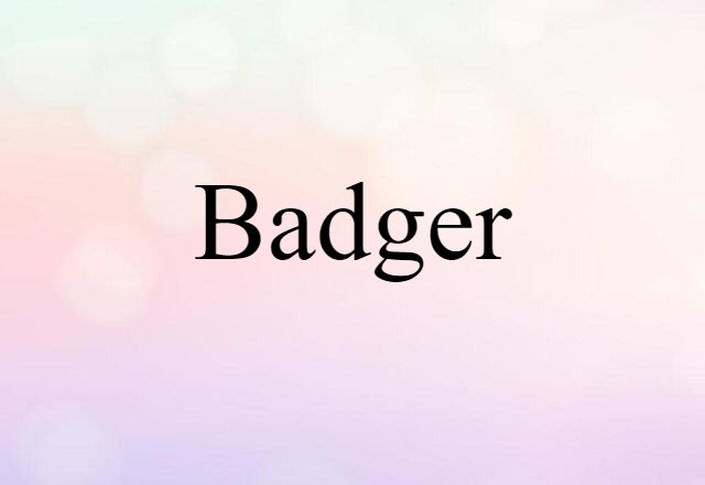 Badger (noun) Definition, Meaning & Examples