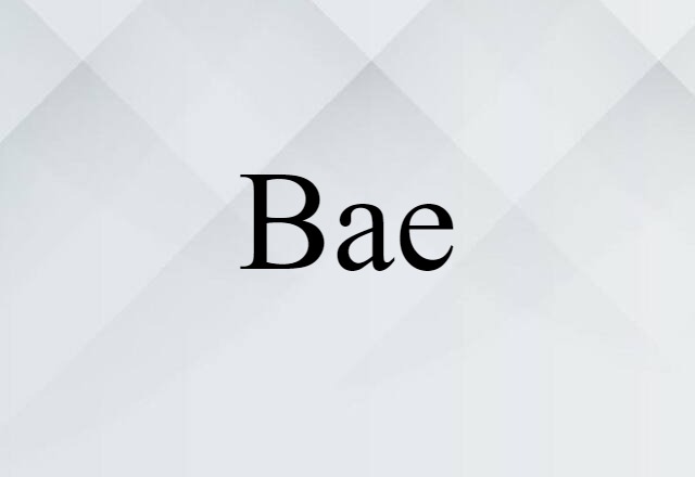 Bae (noun) Definition, Meaning & Examples