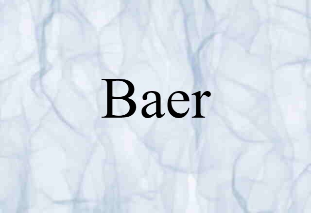 Baer (noun) Definition, Meaning & Examples