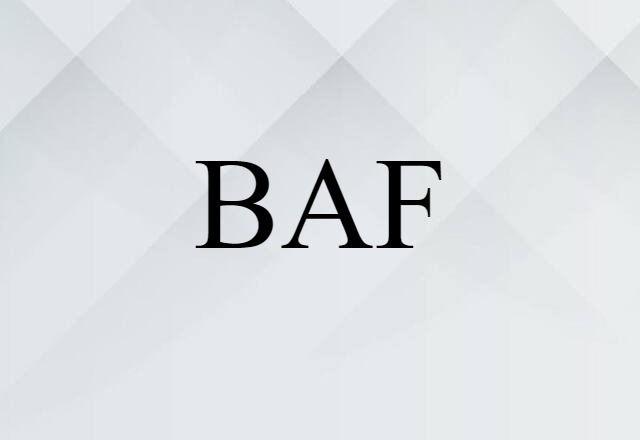 BAF (noun) Definition, Meaning & Examples