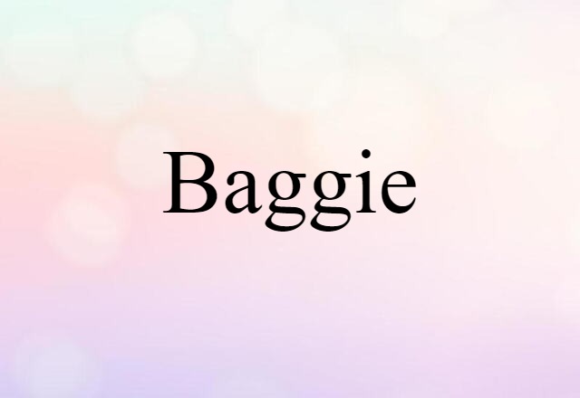 Baggie (noun) Definition, Meaning & Examples