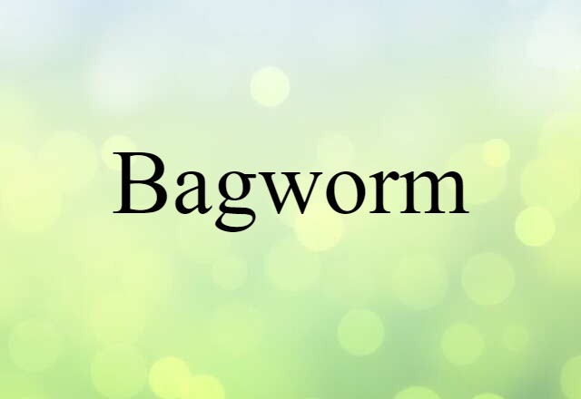 Bagworm (noun) Definition, Meaning & Examples