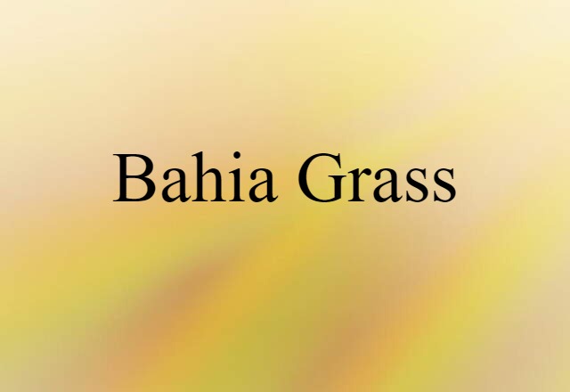 Bahia grass