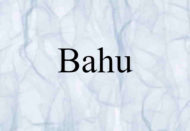 Bahu (noun) Definition, Meaning & Examples