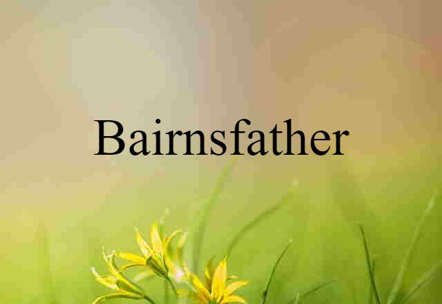 Bairnsfather (noun) Definition, Meaning & Examples