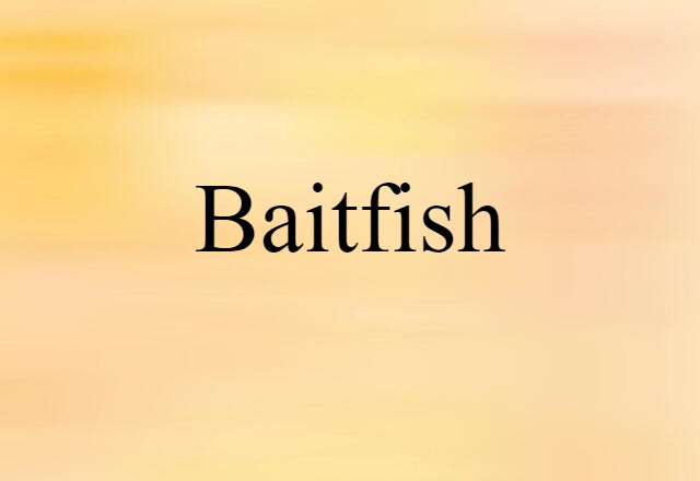 baitfish