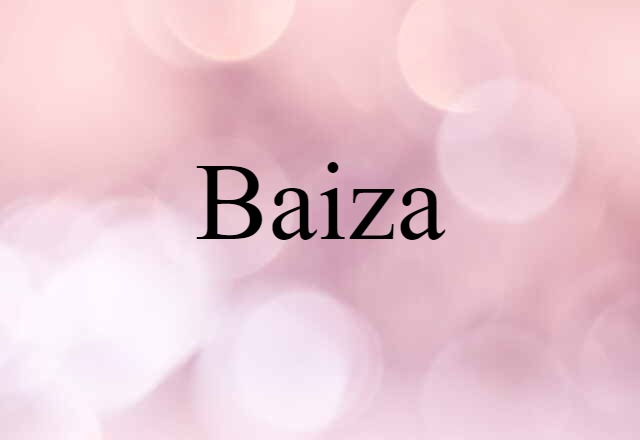 Baiza (noun) Definition, Meaning & Examples