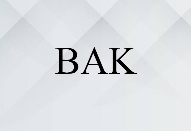 BAK (noun) Definition, Meaning & Examples