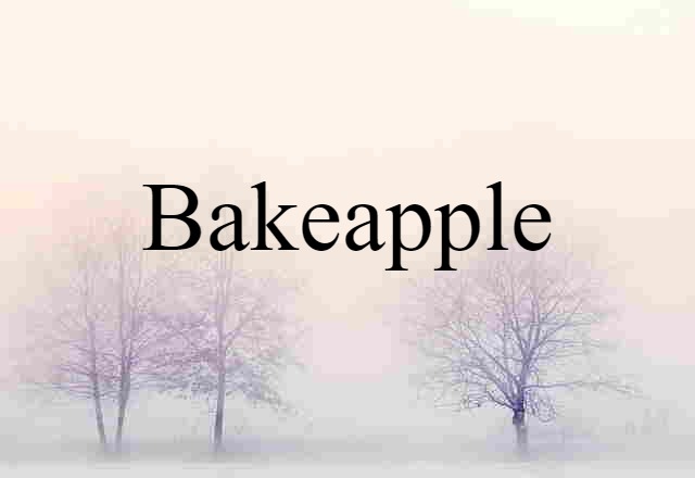 Bakeapple (noun) Definition, Meaning & Examples