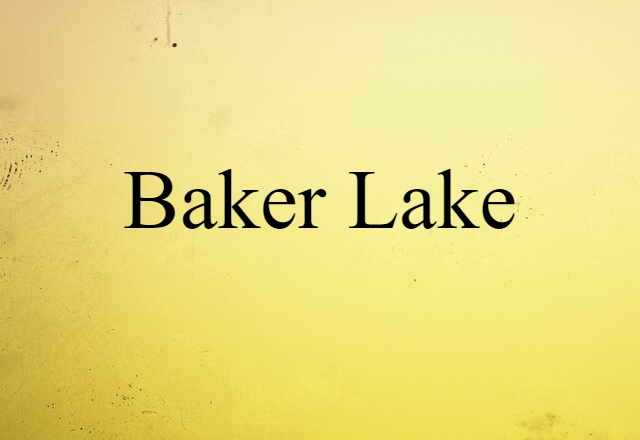 Baker Lake (noun) Definition, Meaning & Examples