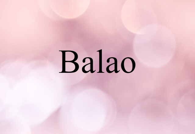 Balao (noun) Definition, Meaning & Examples