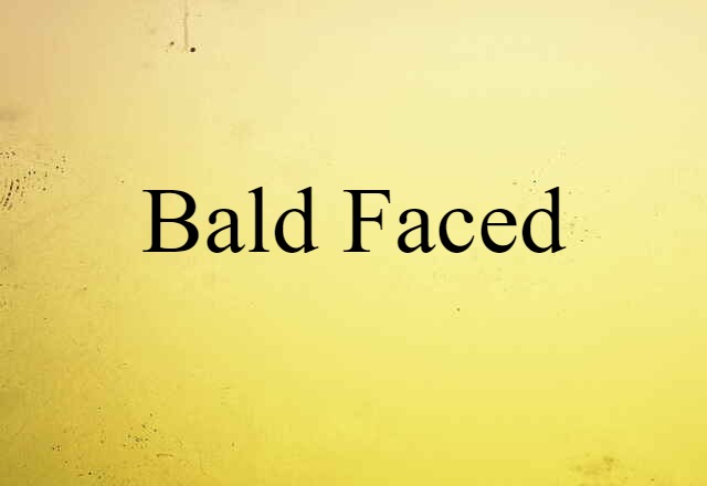 Bald Faced (noun) Definition, Meaning & Examples