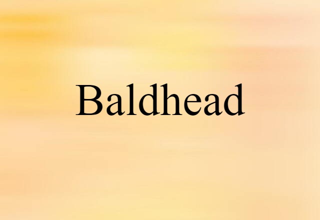 Baldhead (noun) Definition, Meaning & Examples