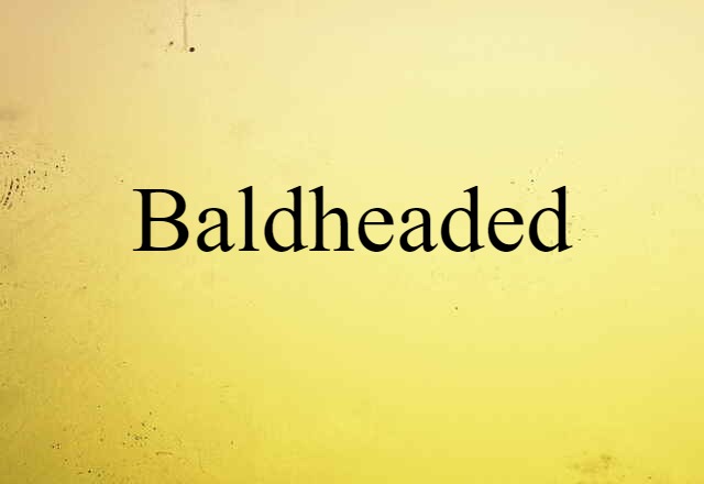 Baldheaded (noun) Definition, Meaning & Examples