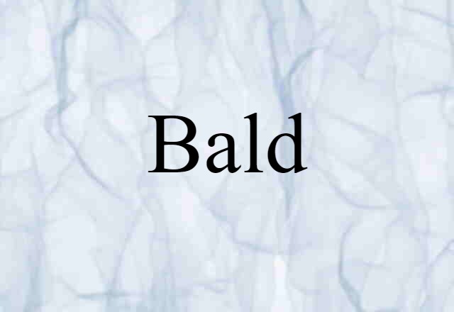 Bald (noun) Definition, Meaning & Examples