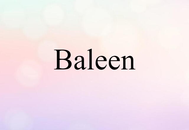 Baleen (noun) Definition, Meaning & Examples