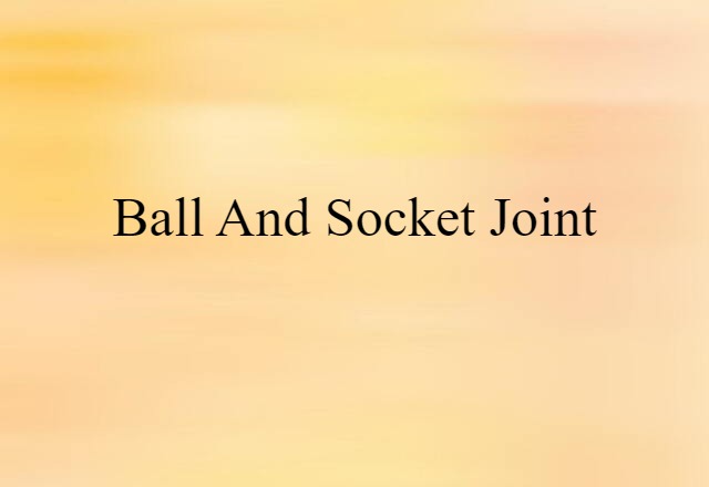 ball and socket joint