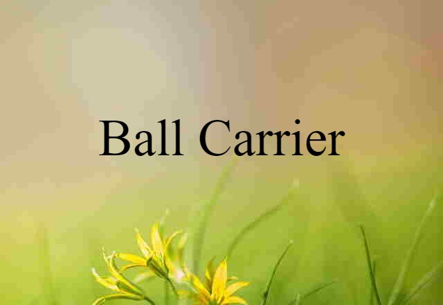 ball-carrier