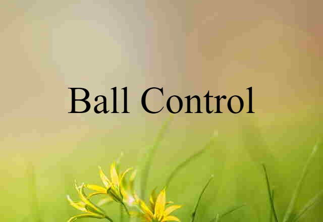 ball control