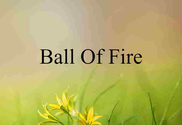 Ball Of Fire (noun) Definition, Meaning & Examples