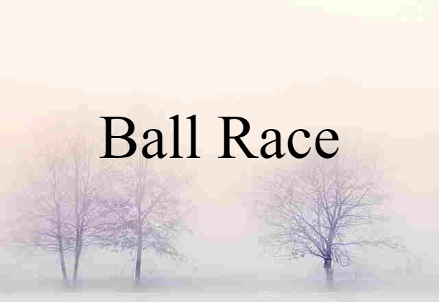 ball race