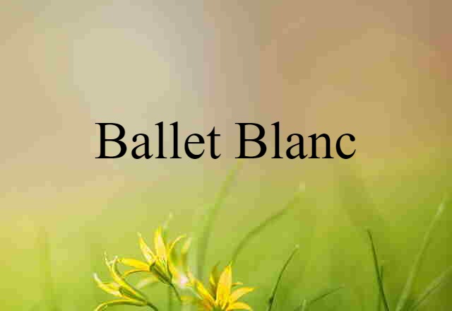 Ballet Blanc (noun) Definition, Meaning & Examples