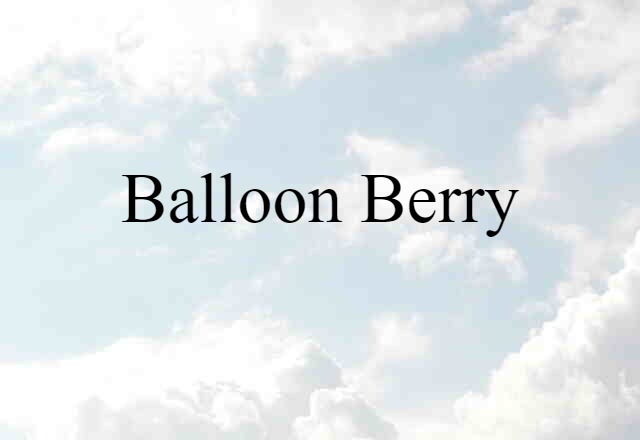 balloon berry