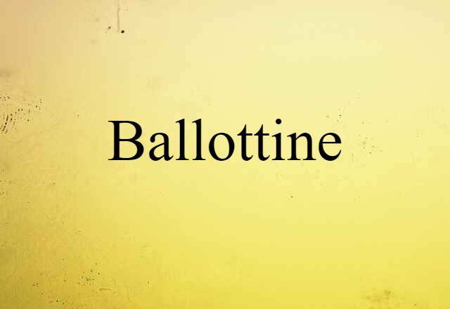 Ballottine (noun) Definition, Meaning & Examples