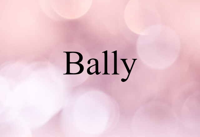 Bally (noun) Definition, Meaning & Examples